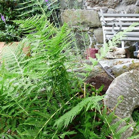 Llanwrthwl Dolifor 아파트 외부 사진