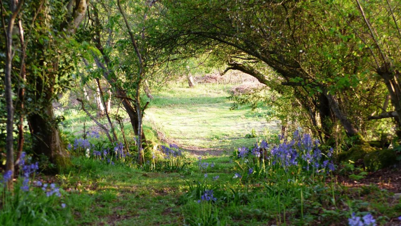 Llanwrthwl Dolifor 아파트 외부 사진