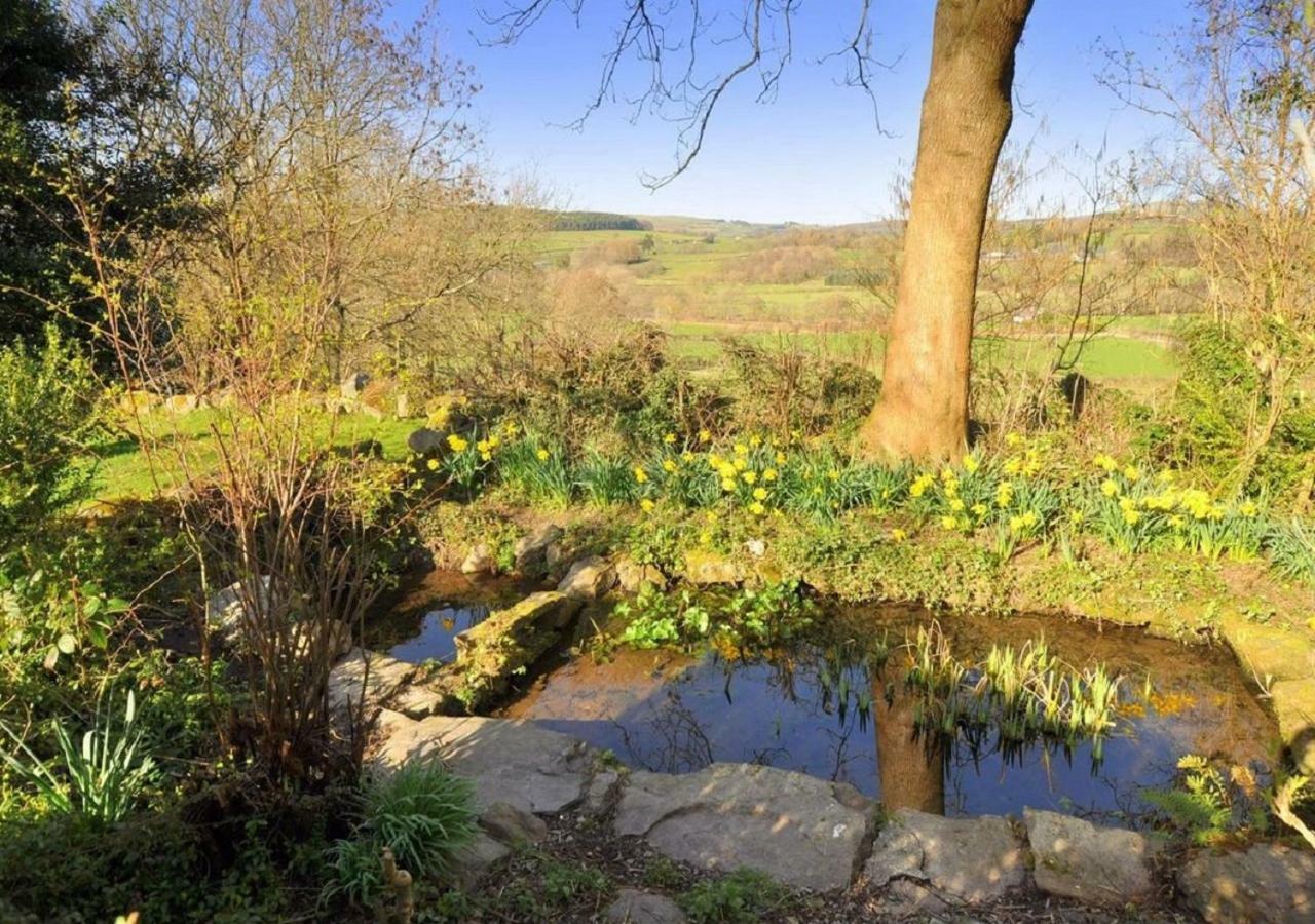 Llanwrthwl Dolifor 아파트 외부 사진